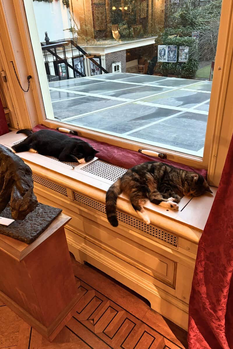 Two museum cats asleep on a sunlit window seat at the KattenKabinet, overlooking the canal house garden.