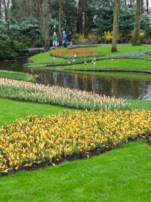 Keukenhof gardens.