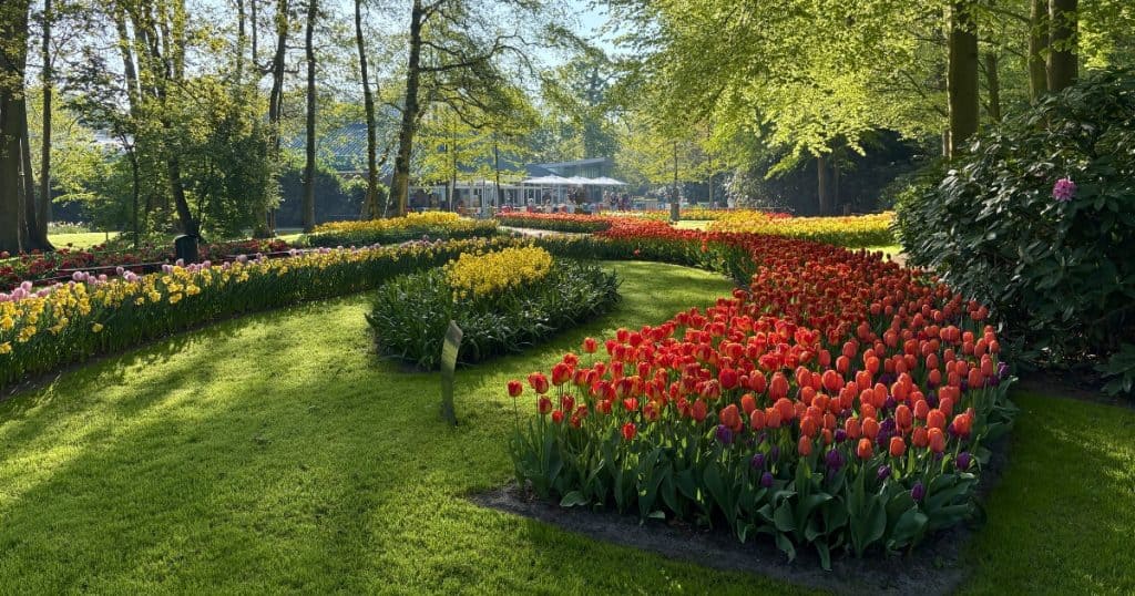 Classic Keukenhof garden view with restaurant in the background.