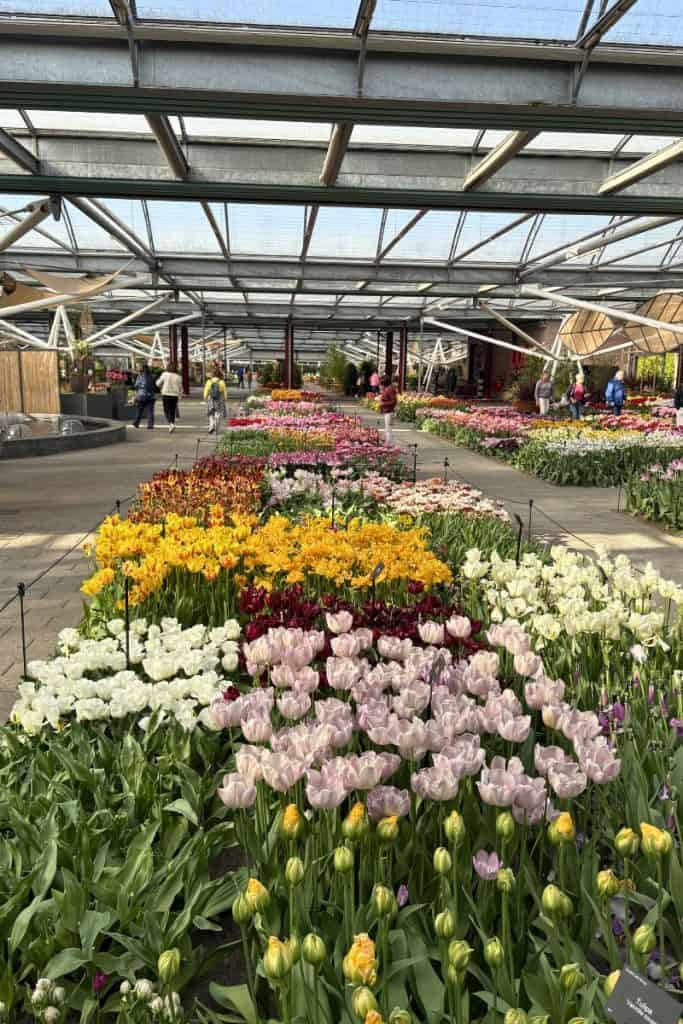 Keukenhof garden indoor pavilion with tulip display.