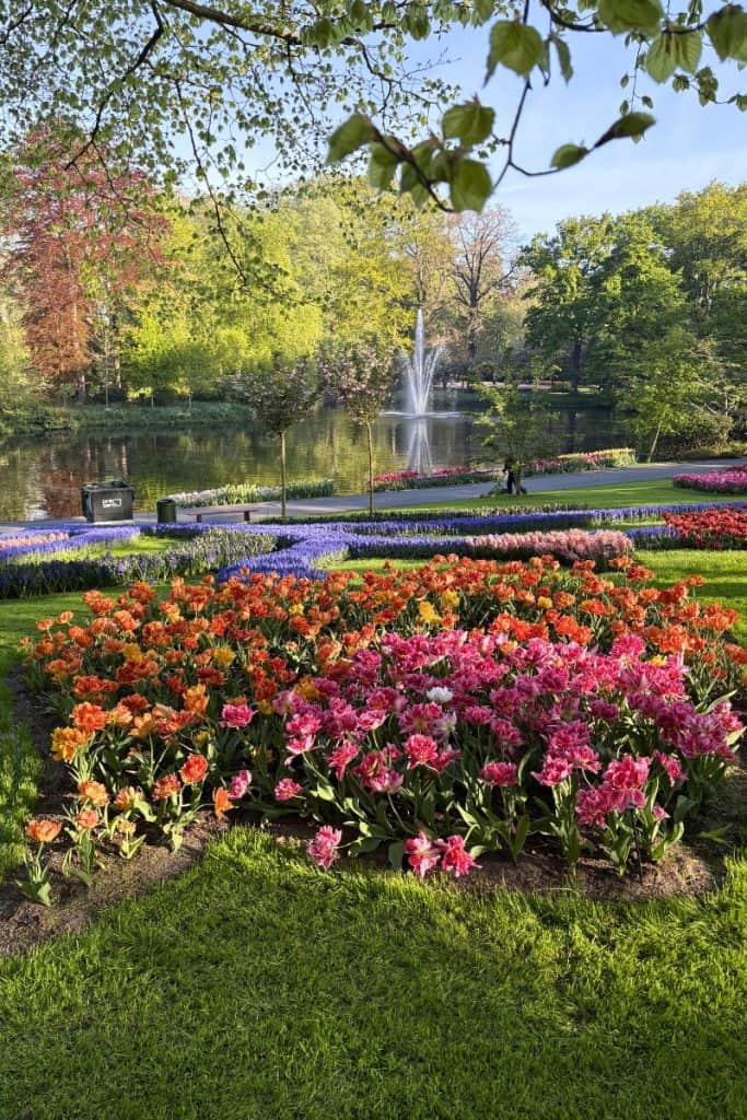 Classic Keukenhof Garden lake with fountain with tulips in front.