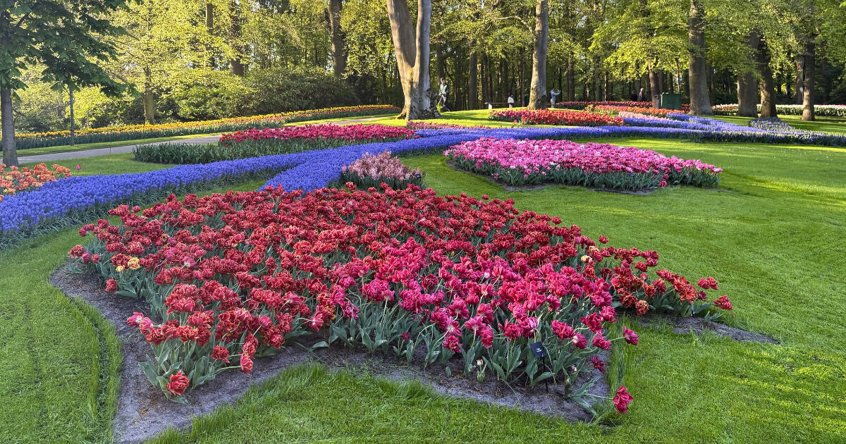 Keukenhof 2026 Tickets, Tours & What to Expect