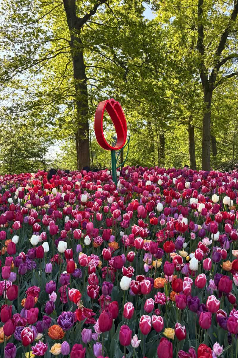 Tulip display right at the Keukenhof entrance gate.