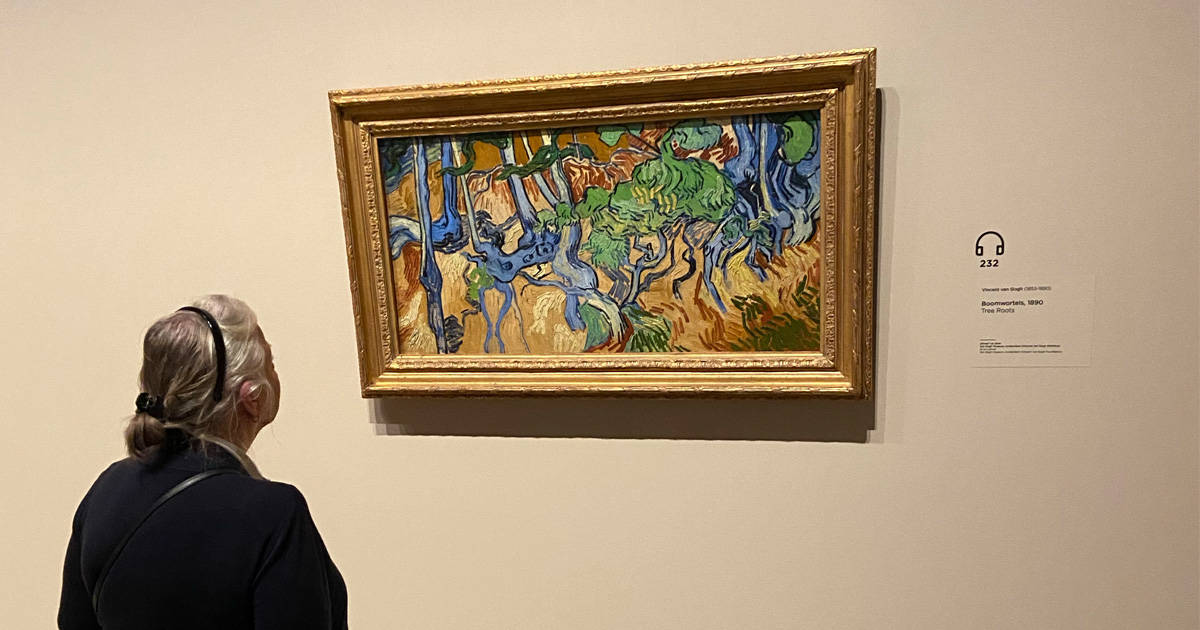 10 Best Van Gogh Museum Tips And Highlights 👨‍🎨